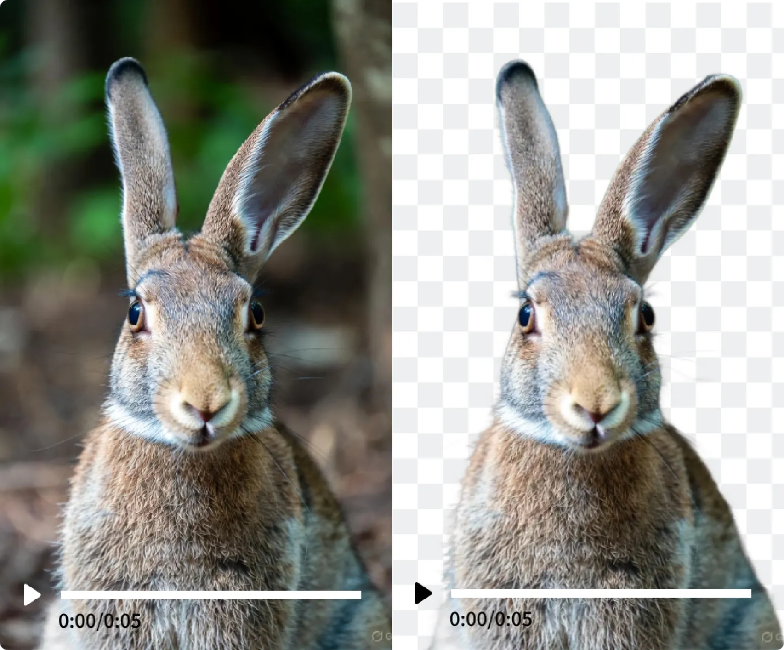 video-remove-example